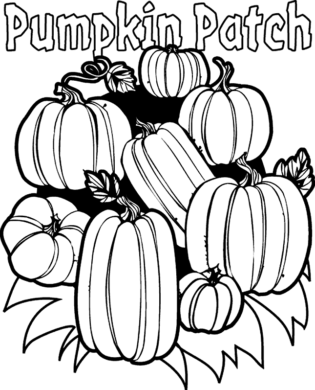 645x797 Pumpkin Line Art