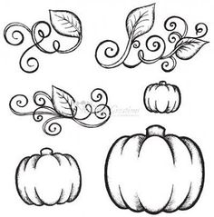236x239 Pumpkin Drawing Thanksgiving Pumpkin Drawing