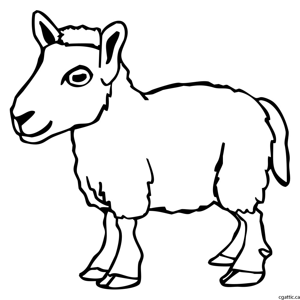 1000x1000 Sheep Cartoon Drawing In 4 Steps With Photoshop