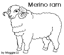 222x191 All About Sheep For Kids And Teachers