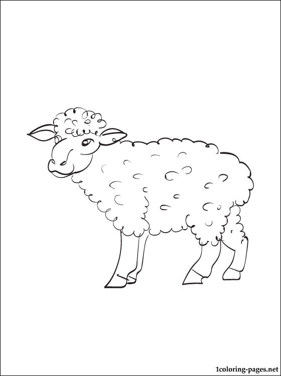 560x750 Sheep Coloring Page To Print Out Coloring Pages