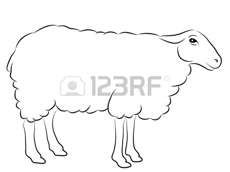 450x337 Sketch Of A Sheep Isolated On White Royalty Free Cliparts, Vectors