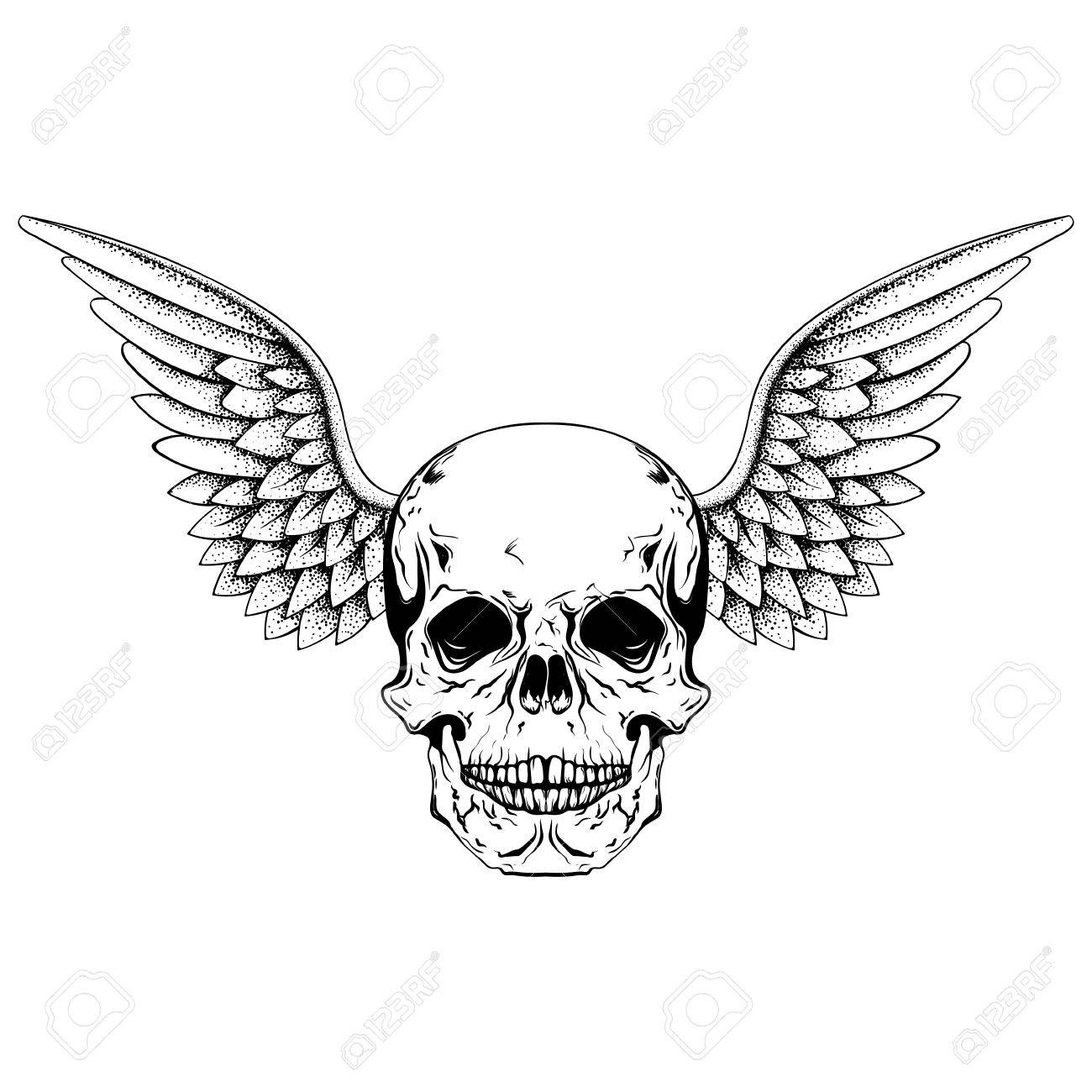 1300x1300 Hand Drawn Sketch Skull With Wings, Tattoos Line Art. Vintage