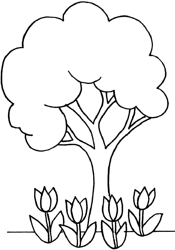 682x976 Perfect Coloring Pages Of Trees 71 With Additional Line Drawings