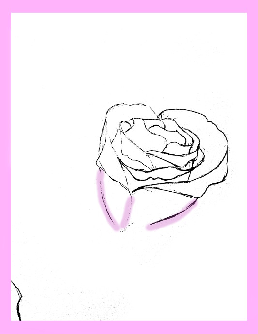533x690 How To Draw Roses