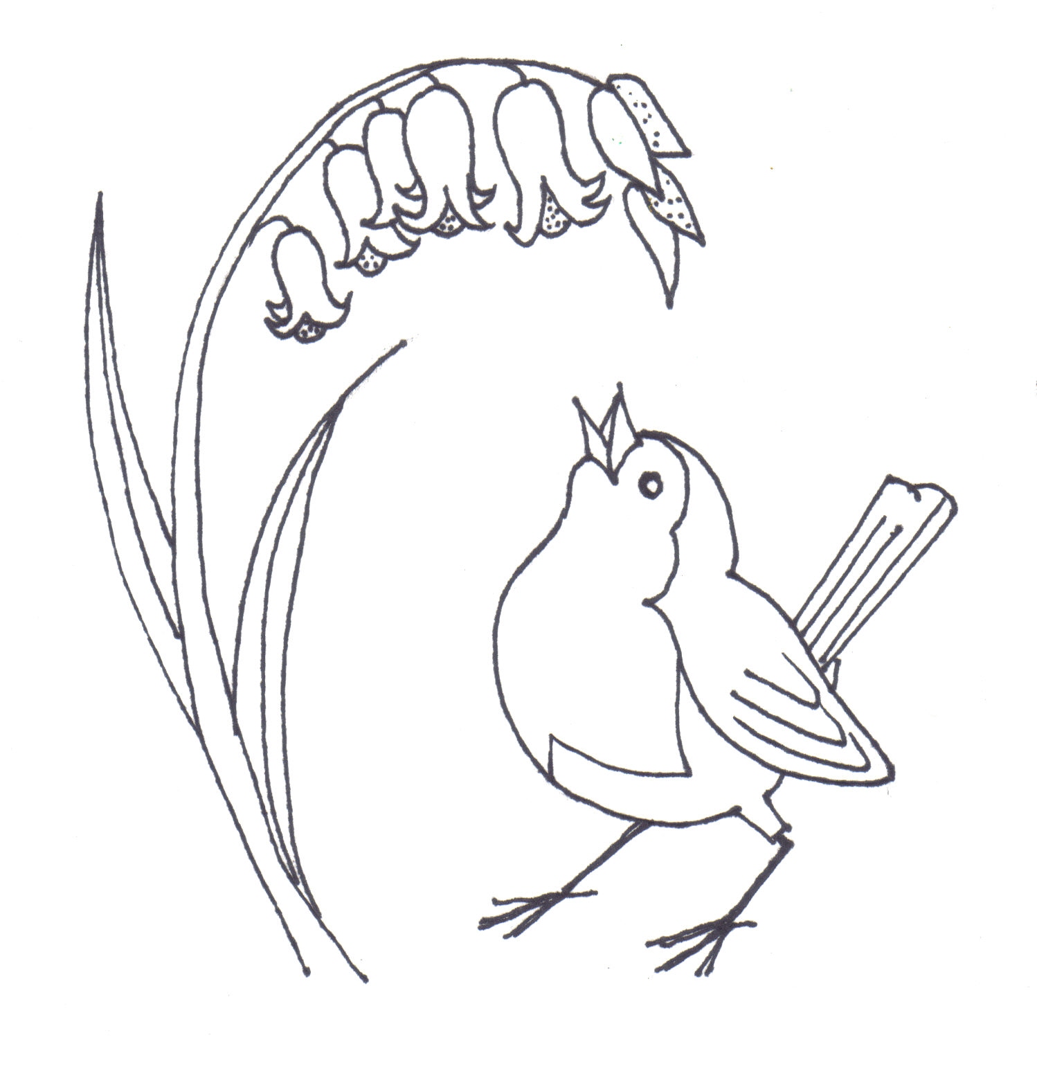 1498x1544 Line Drawing Of Animals And Birds