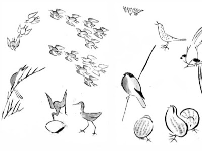 400x300 The Helpful Art Teacher On Painting Birds