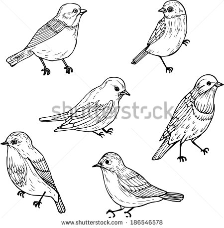 450x457 Bird Line Drawing Set Of Line Drawings Of Birds Bird