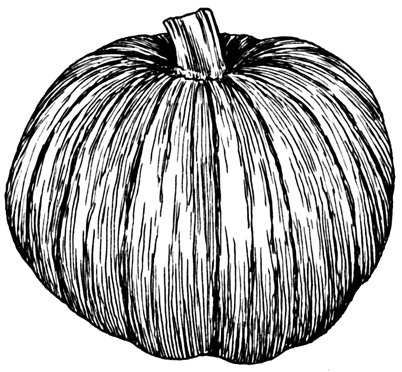 1376x1272 Filepumpkin (Psf).png