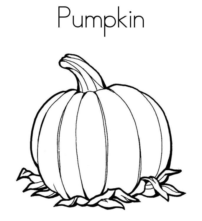 685x749 Outstanding Pumpkin Coloring Page 77 With Additional Line Drawings