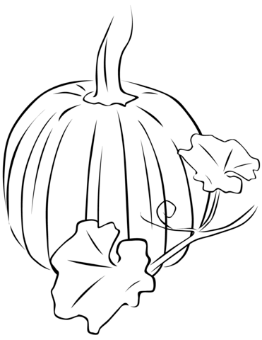 371x480 Pumpkin With Leaves Coloring Page Free Printable Coloring Pages