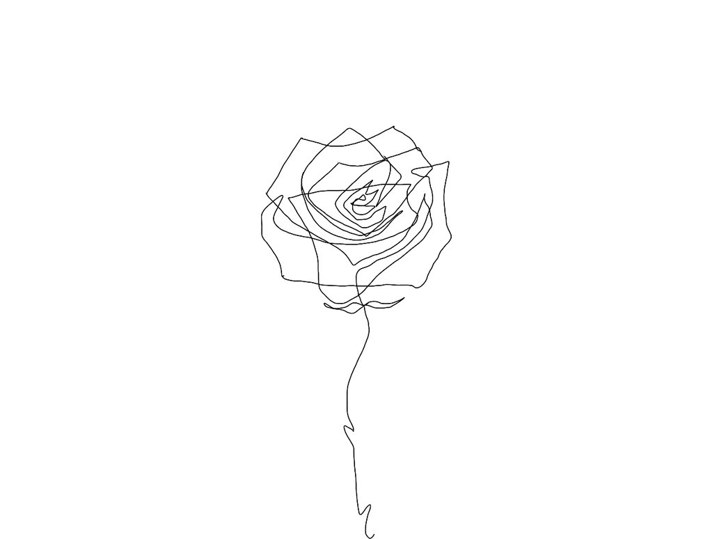 1033x774e Line Rose By Aimosan