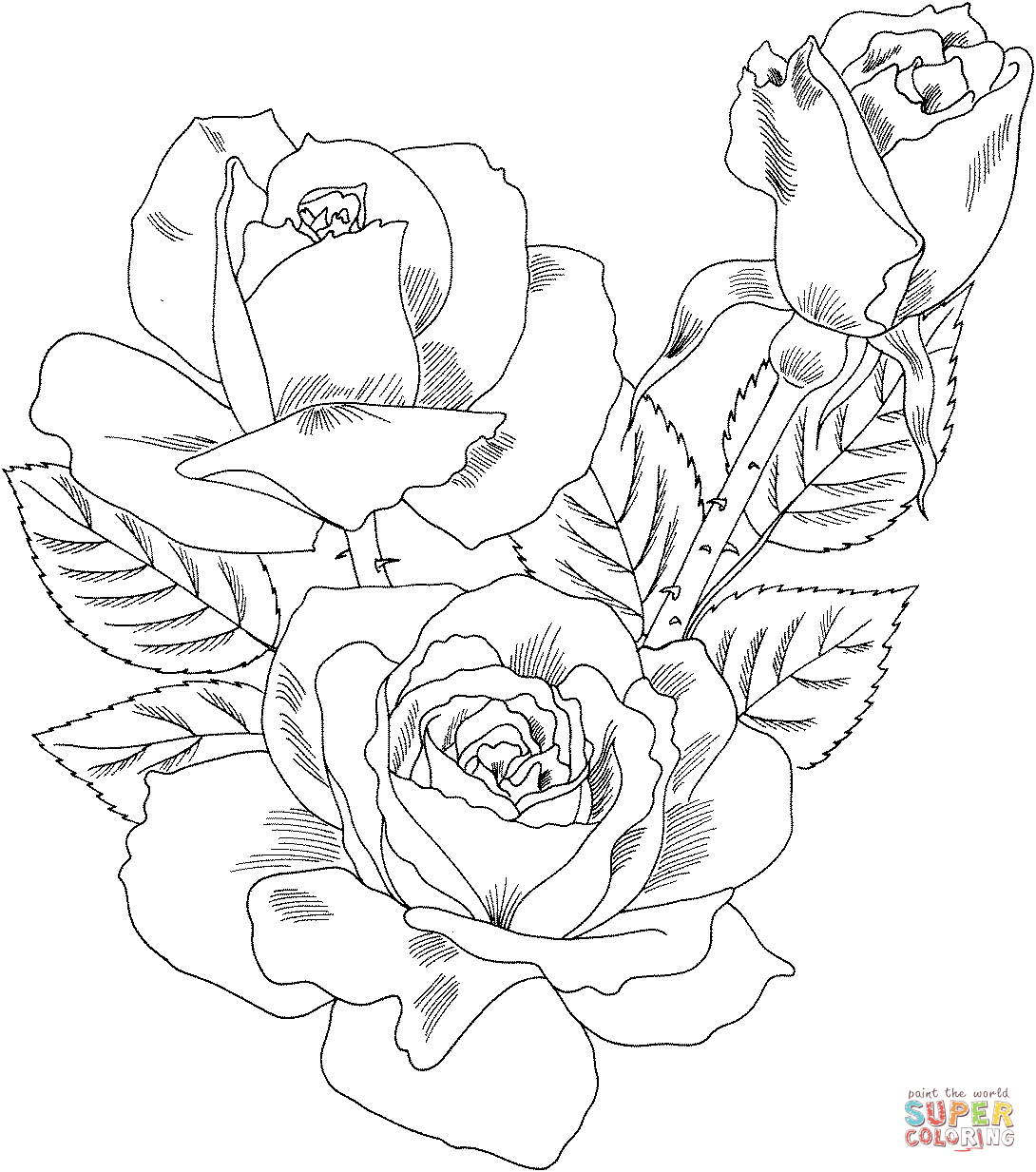 1090x1233 Knumathise Realistic Rose Drawing Outline Images