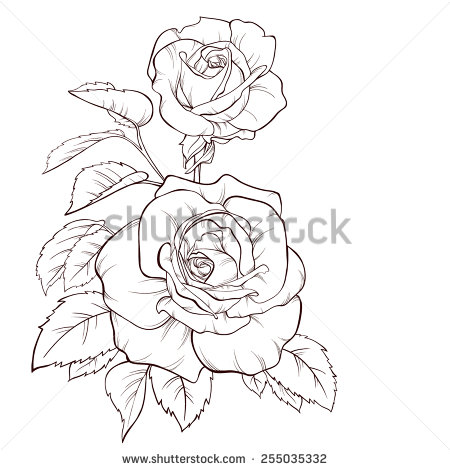 450x470 Drawn Line Rose