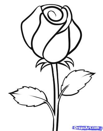 331x421 Flowers Drawings Rose
