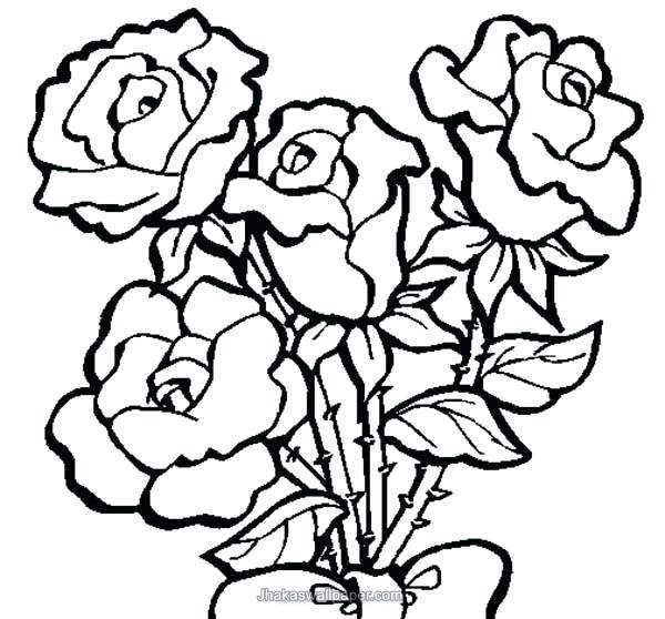 600x558 Coloring Pages Rose Amazing Coloring Pages Roses For Line Drawings