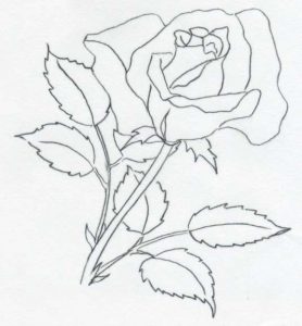 278x300 Drawing Of Rose Template Business