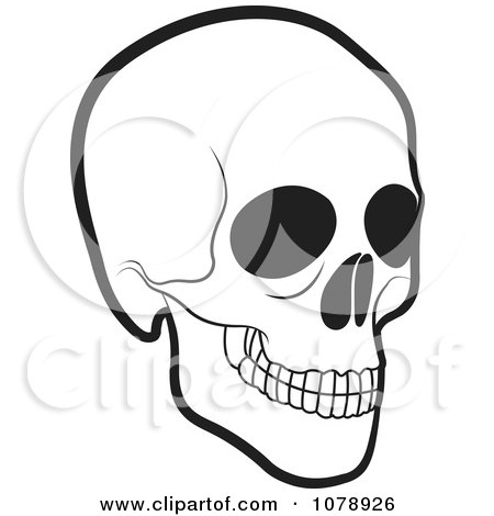 450x470 Drawing Pictures Skull Line Drawing Pictures