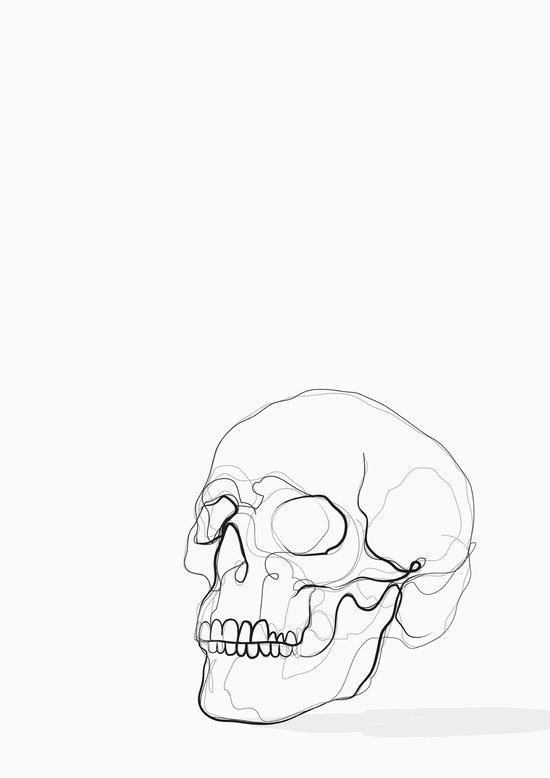 Line Drawing Skulls