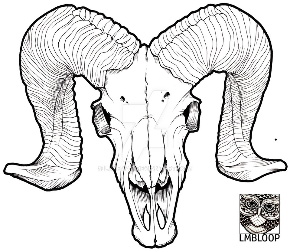 959x833 Ram Skull By Lukemac