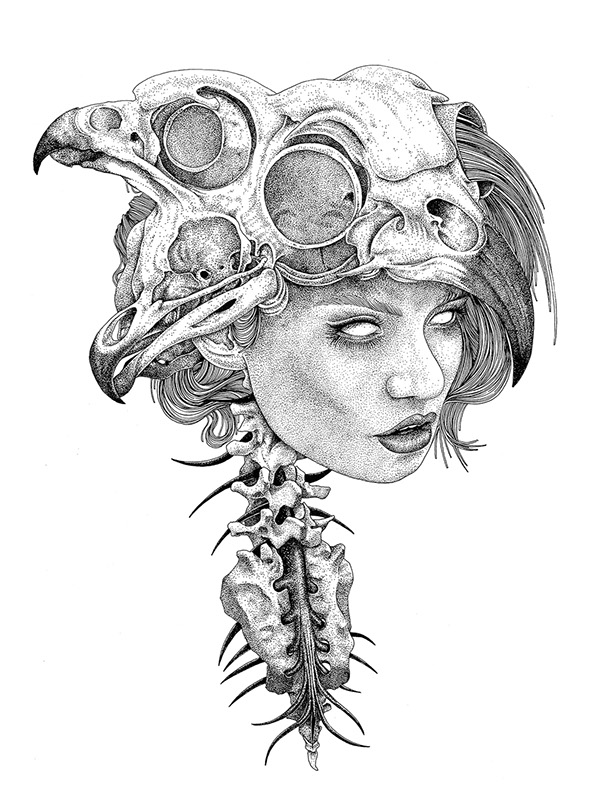 600x800 Skull Drawings By Tavo Montanez