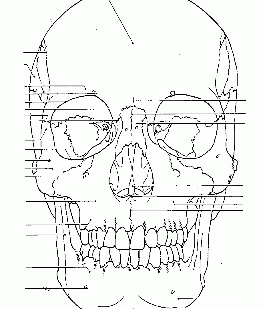 920x1080 Day Of The Skeleton Coloring Page Free Printable Body And Skull