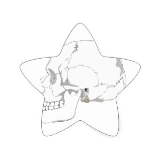 324x324 Human Skull Drawing Stickers Zazzle