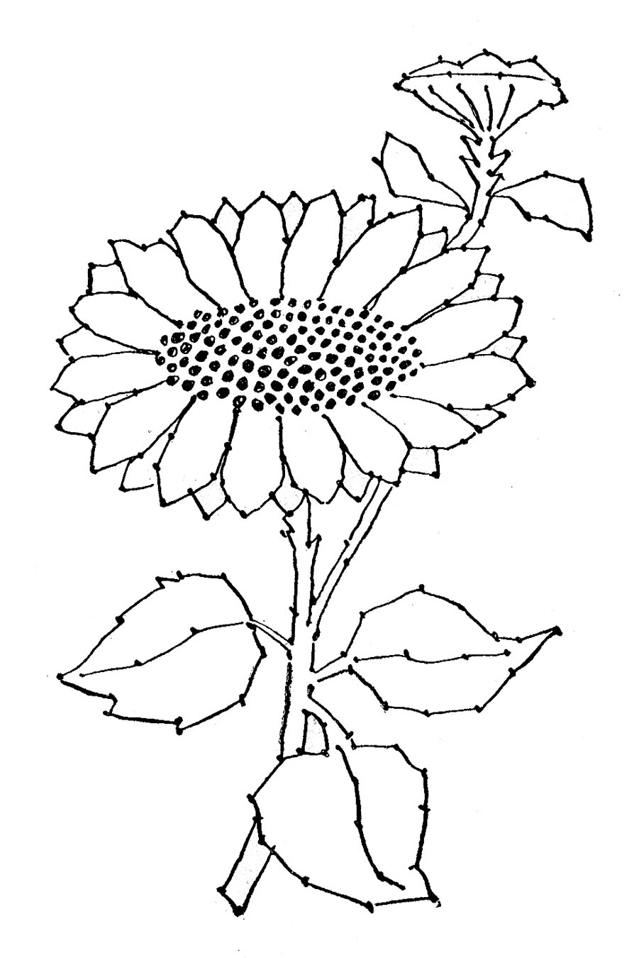 901x1350 Embroidery Pattern
