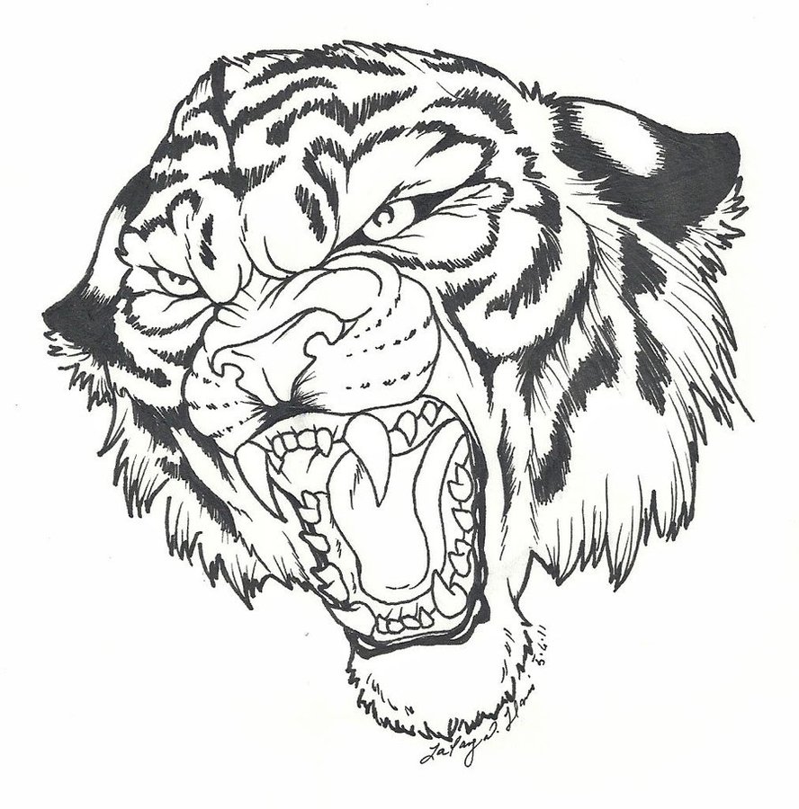888x900 Roaring Tiger By Blvqwulph On Colorless
