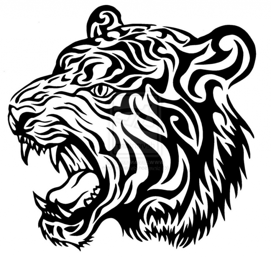 1024x971 Tiger Face Line Drawing Tiger Face Line Drawing Tiger Head Line