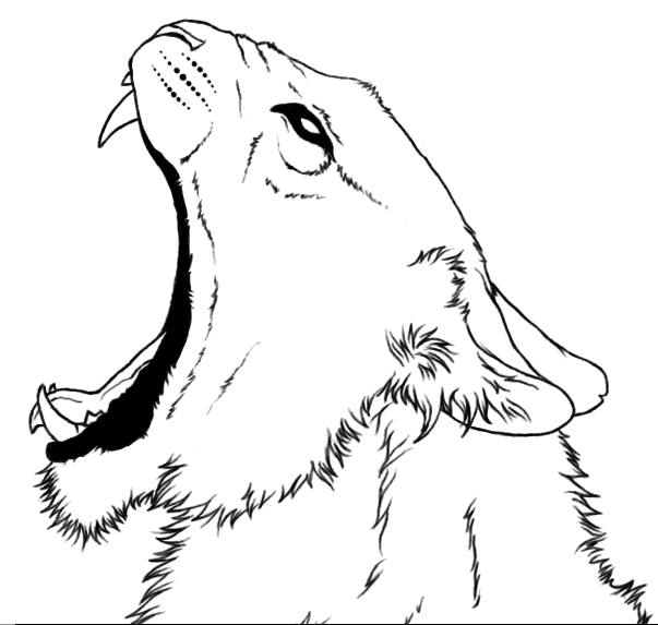 603x573 Tiger Line Art