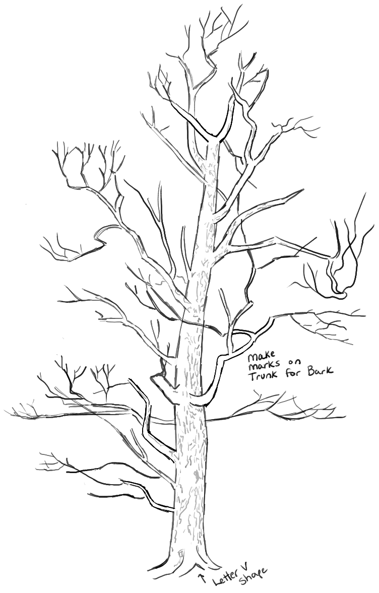 752x1177 How To Draw Trees
