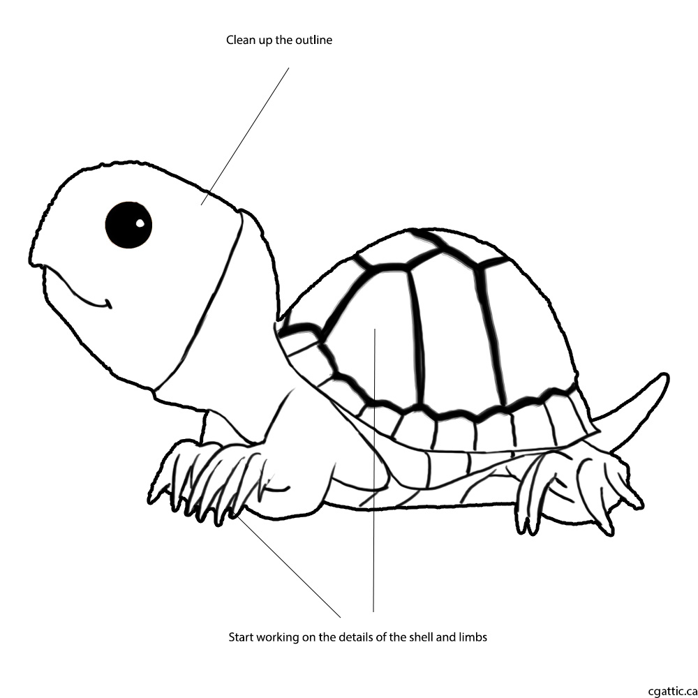 1000x1000 Turtle Cartoon Drawing In 4 Steps With Photoshop