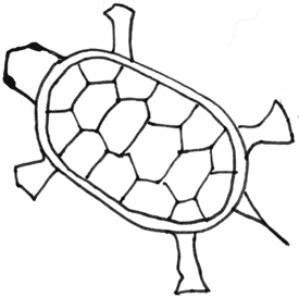 Line Drawing Turtle at GetDrawings | Free download