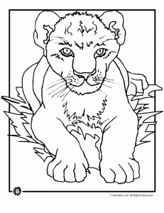 231x300 Lion Coloring Pages Animal Jr.