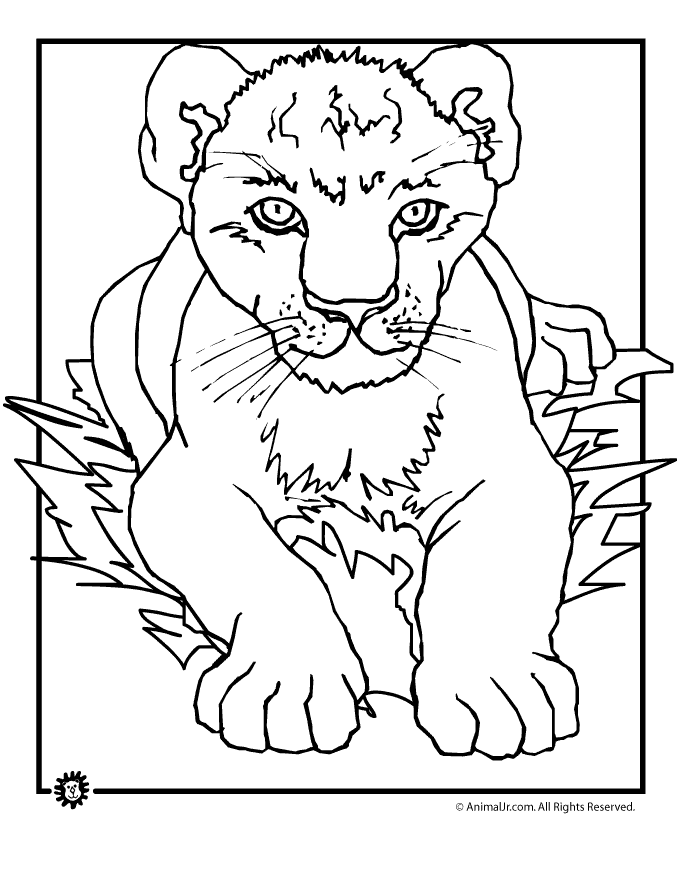 680x880 Lion Cub Coloring Page Animal Jr.