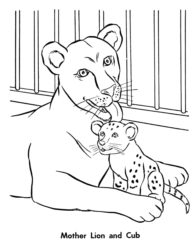 670x820 Lion Cub Coloring Pages