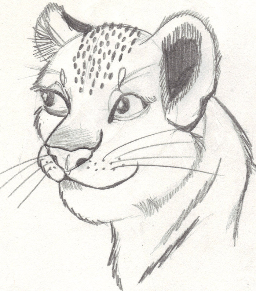 838x953 Lion Cub Sketch By Fapingmulan