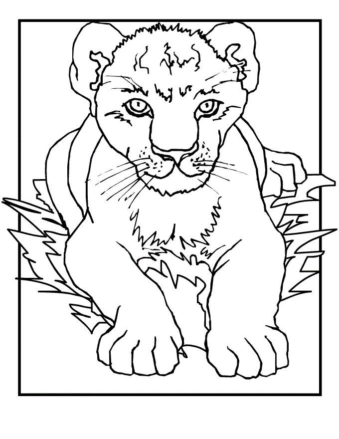 680x880 Free Printable Lion Coloring Pages For Kids Lion Cub Coloring