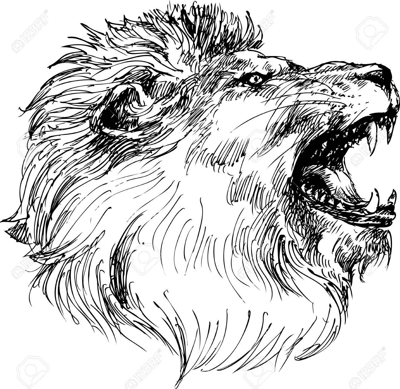 1300x1263 Lion Head Hand Drawn Royalty Free Cliparts, Vectors, And Stock