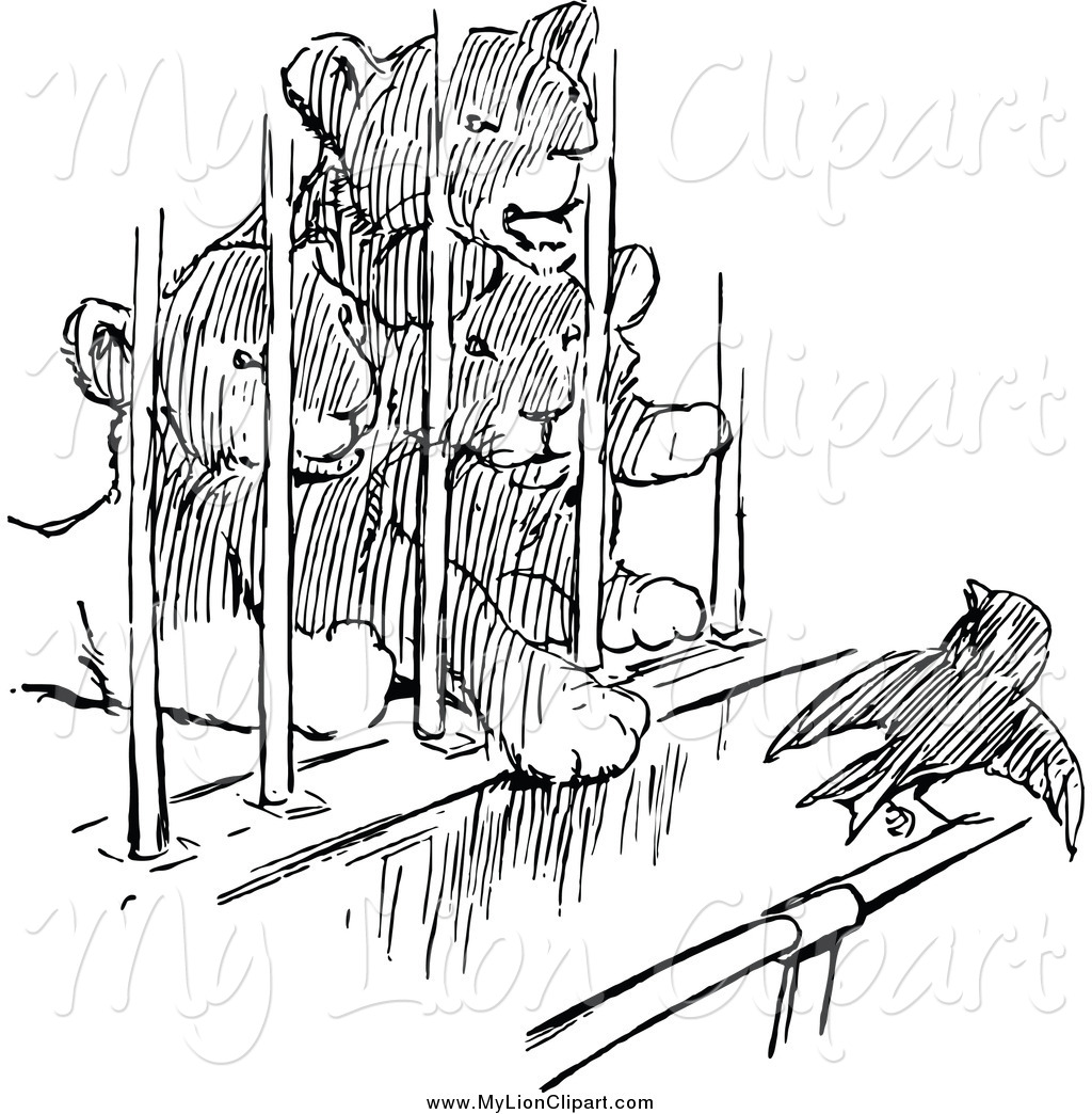 1024x1044 Clipart Of Black And White Lion Cubs Watching A Bird From A Cage