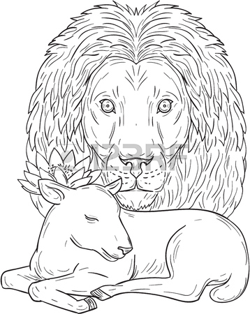 358x450 Lion And Lamb Images Amp Stock Pictures. Royalty Free Lion And Lamb