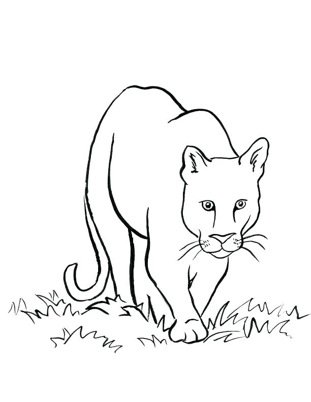 612x792 Lion Coloring Pages Lamb And Lion Coloring Page Free Printable