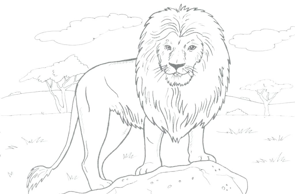 1024x672 Lion Coloring Pages Lion Lamb Coloring Page Kids Drawing And Pages