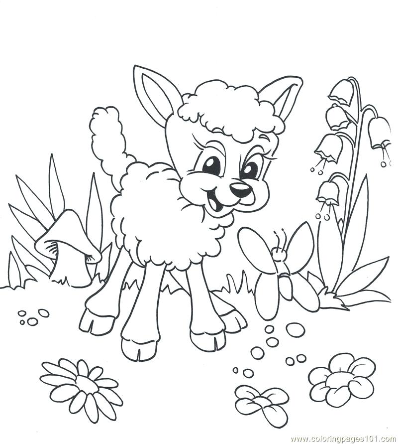 800x891 Lion Lamb Coloring Page Free Printable Pages