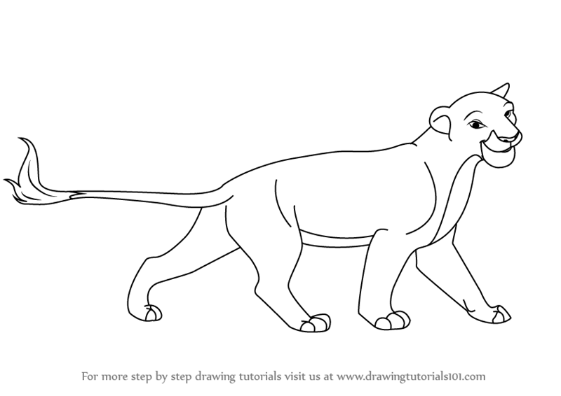 800x566 Learn How To Draw Sarabi From The Lion King (The Lion King) Step