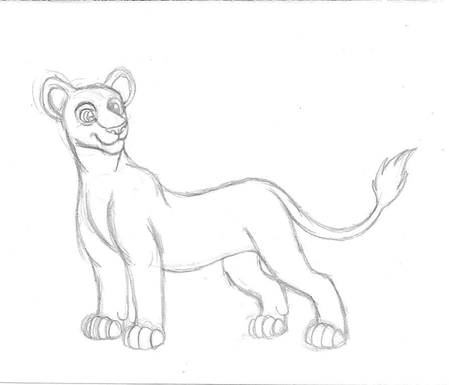 895x768 Lion King Lioness Free Sketch By Cassandramarteena