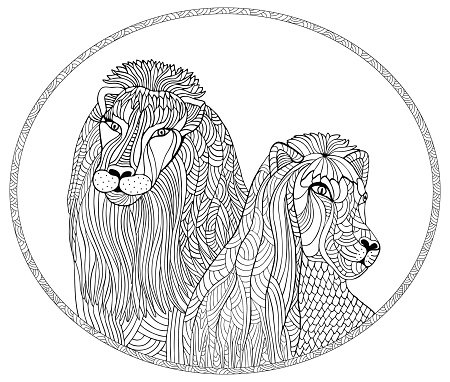 450x382 Lion And Lioness Stock Vectors