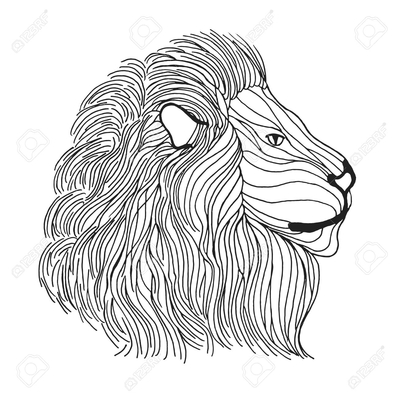 1300x1300 Lion Head. Adult Antistress Coloring Page. Black White Hand Drawn