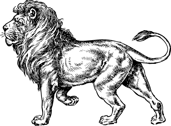 600x442 Lion Clip Art Free Vector In Open Office Drawing Svg ( Svg